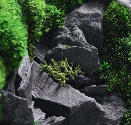 Image gallery